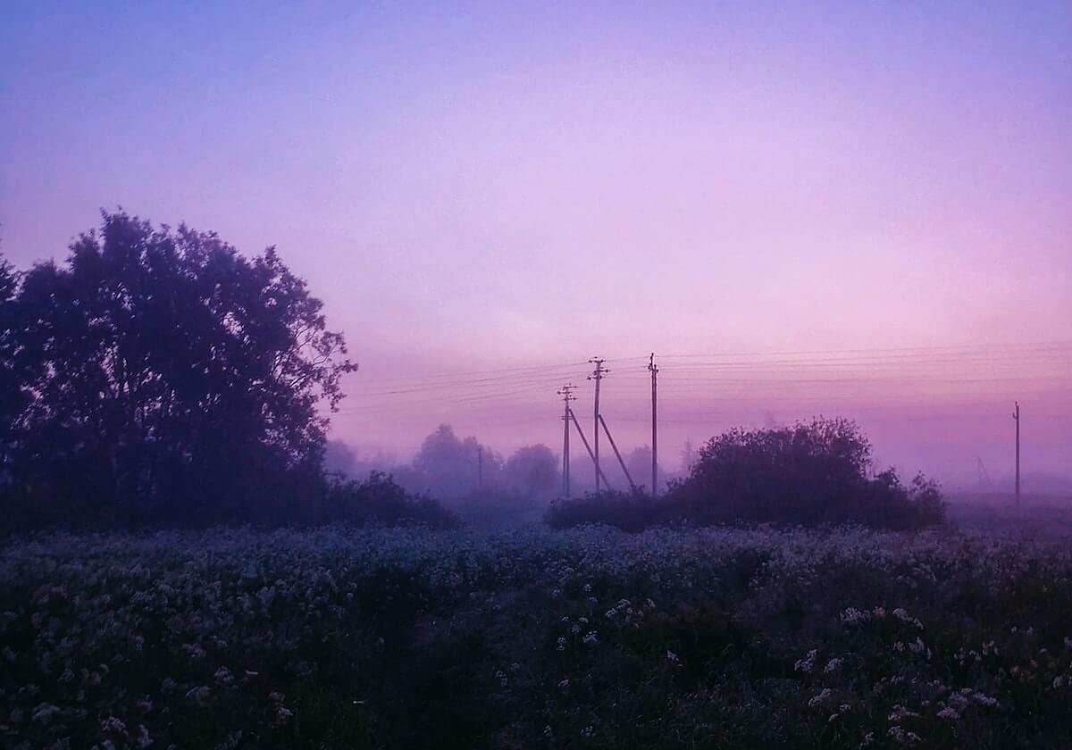 星空体育公司-季前赛首秀！锡安出场时间不受限 2项技能进步显著